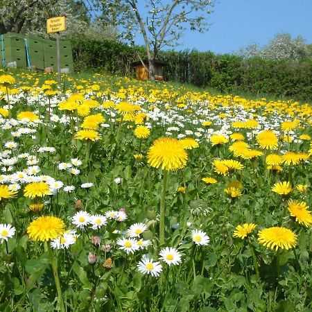 Ferienwohnungen "Allerleigruen" Langenroda Zewnętrze zdjęcie