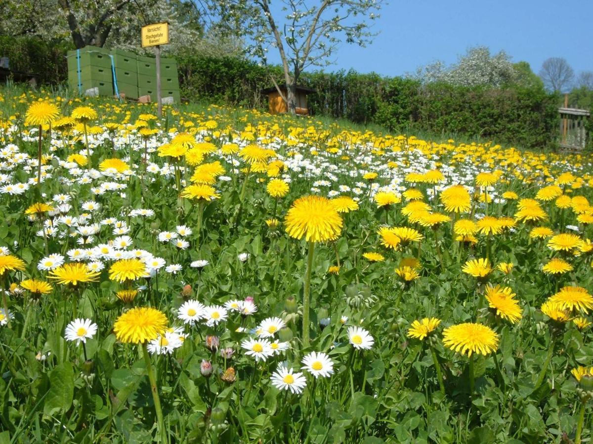 Ferienwohnungen "Allerleigruen" Langenroda Zewnętrze zdjęcie